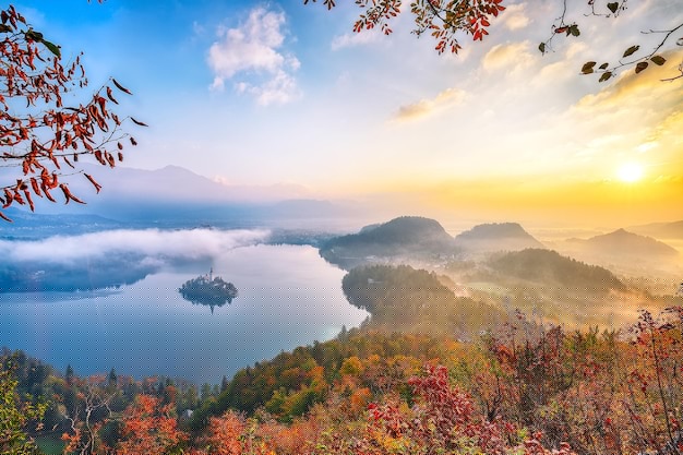 搜狗输入法下载教育版在哪里找?离线安装包获取+详细安装教程2023 一